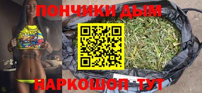 мдпв Кингисепп