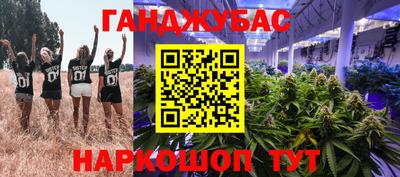 мдпв Кингисепп
