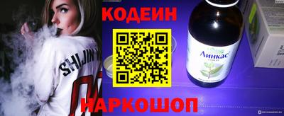 мдпв Кингисепп