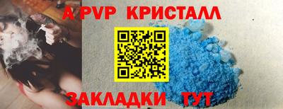 мдпв Кингисепп
