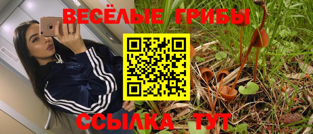 Азов  закладки  Вход с VPN  Псилоцибиновые грибы ЛСД 